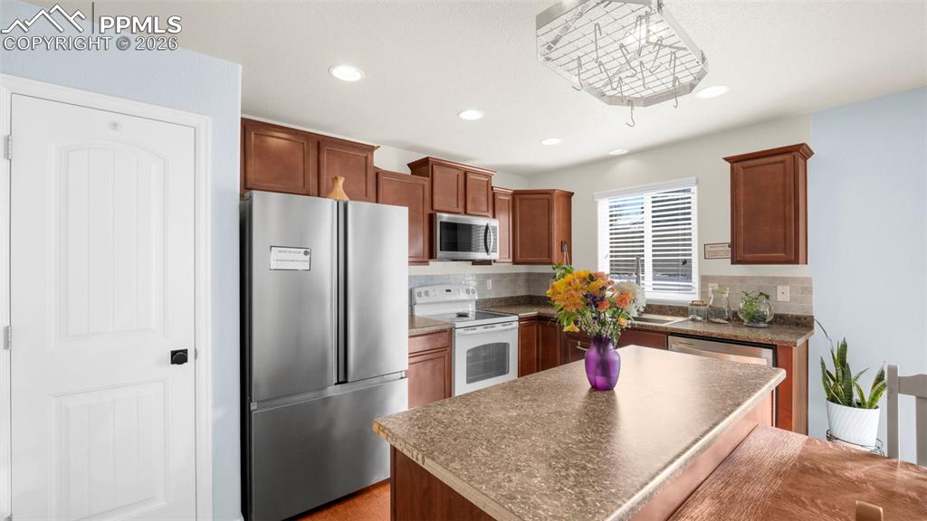 2456 Sierra Springs Drive photo 3