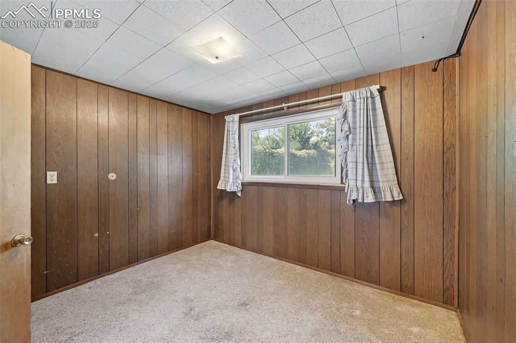 Lower bedroom 2 featuring carpet and wooden walls