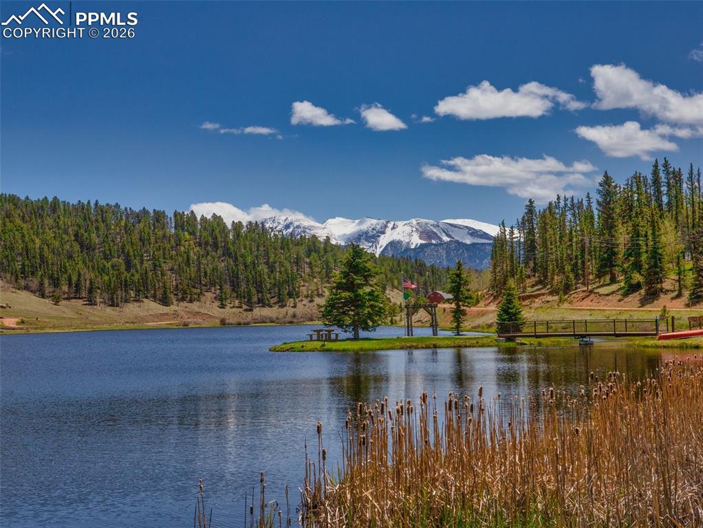 Neighborhood lake- great for fishing and recreation! 