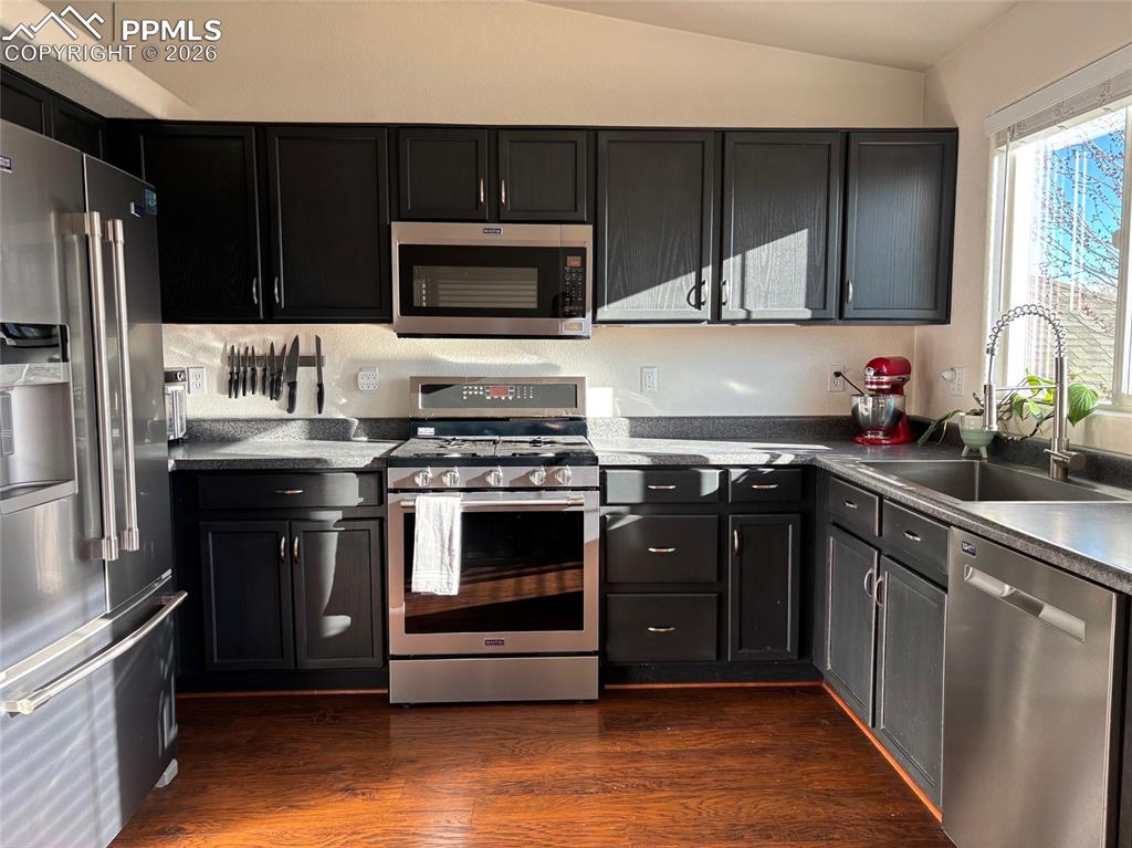 Kitchen featuring dark cabinets, stainless steel appliances, lofted ceiling, and dark wood-style flooring