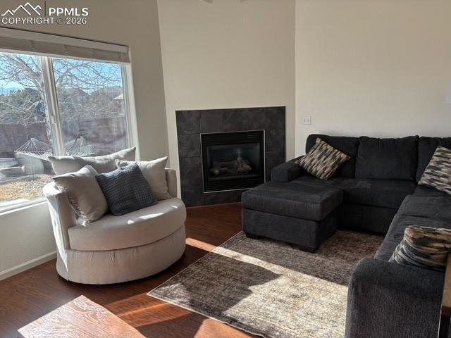 Living room featuring a fireplace and wood finished floors