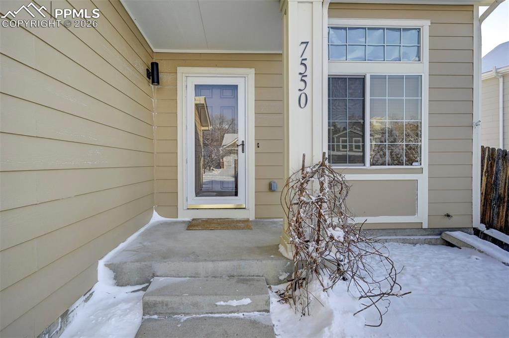 7550 Sistine Lane photo 3