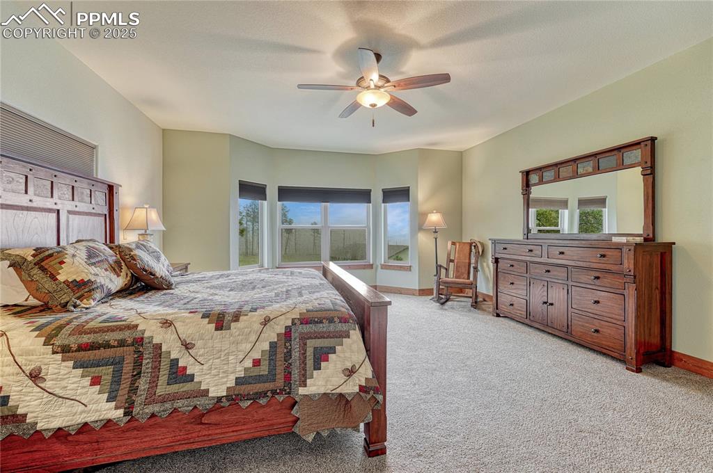 Carpeted bedroom featuring multiple windows, baseboards, and a ceiling fan