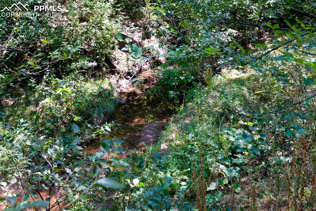 Creek behind the home