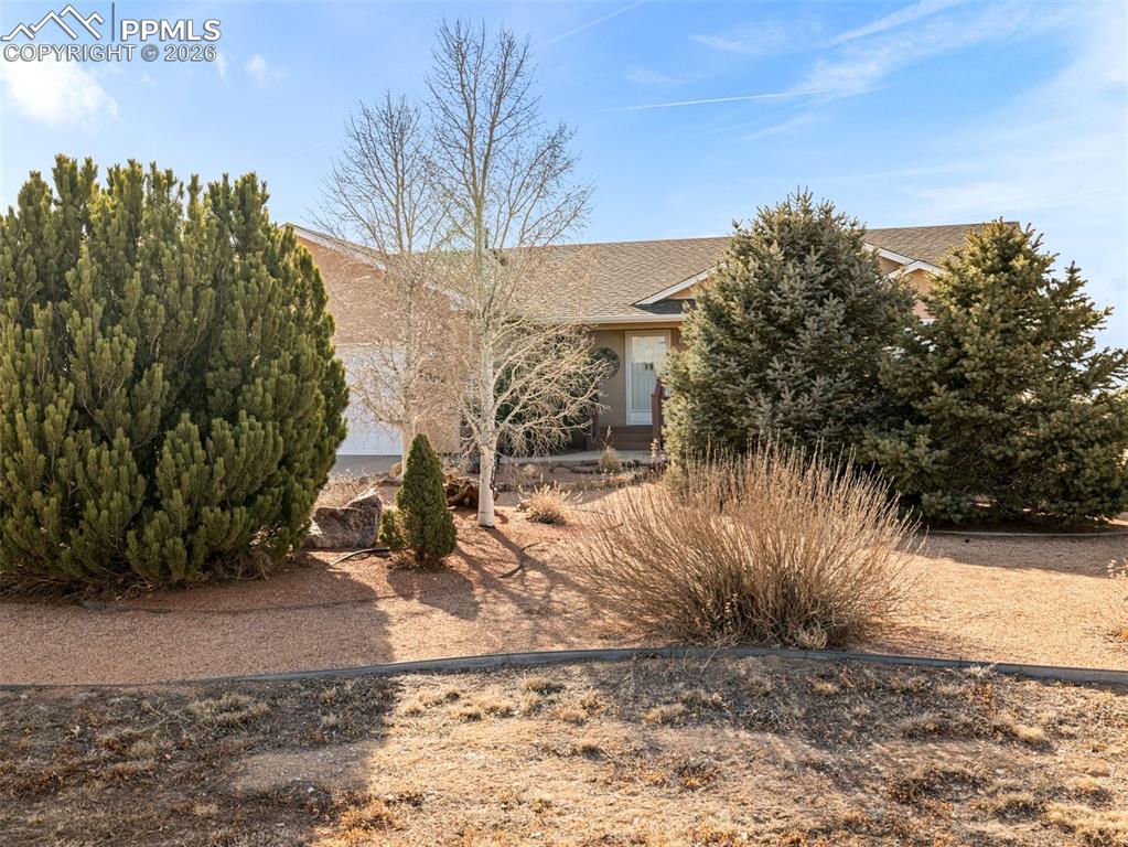 1006 W Capistrano Avenue photo 3