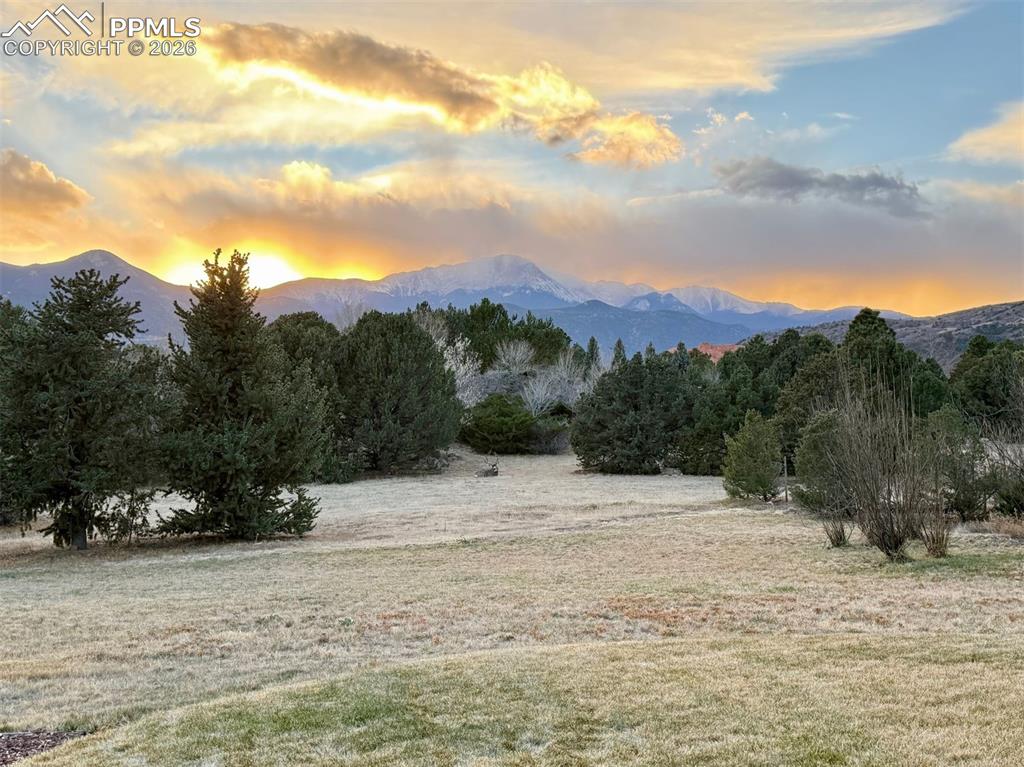 A striking reminder of Colorado’s beauty, this backyard welcomes wildlife amid mature trees and open space.