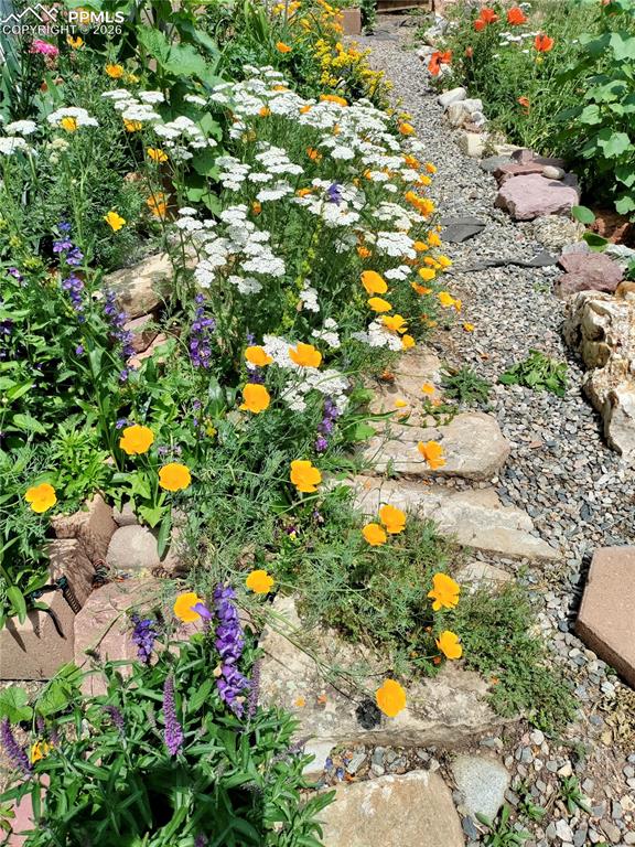 Garden photo from when in bloom