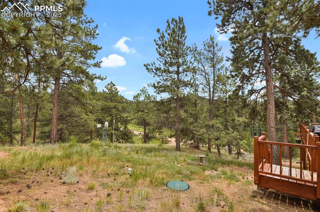 View of yard featuring a deck and a wooded view