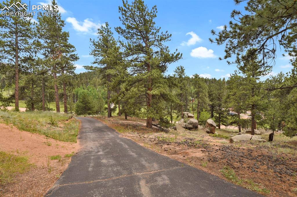 View of road featuring a forest view