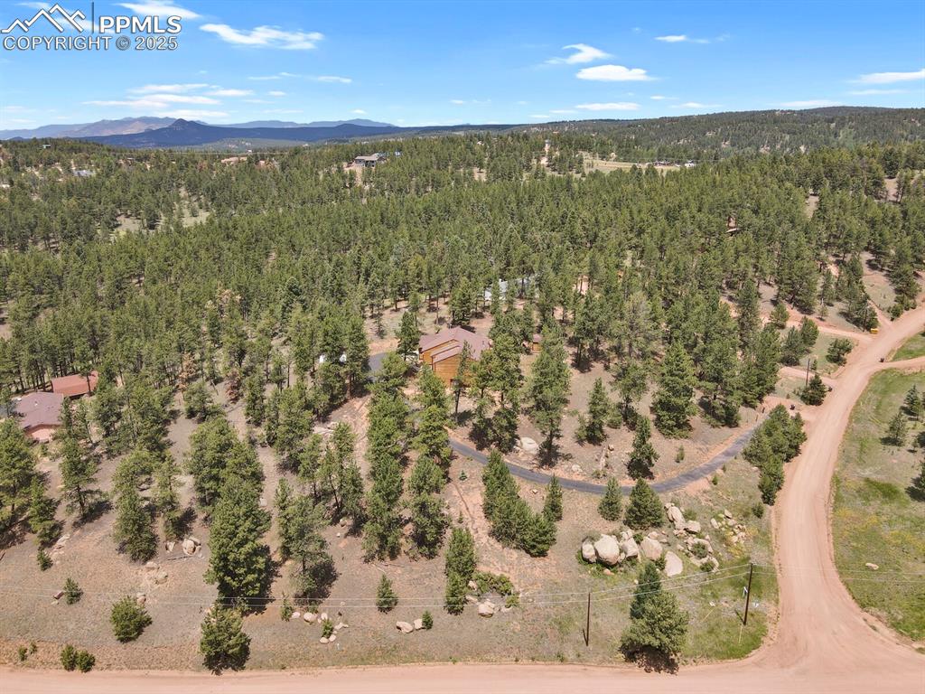 Bird's eye view of a forest and a mountain backdrop