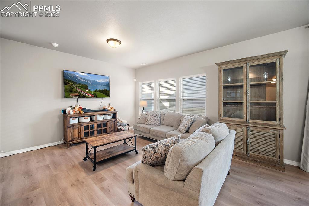 Spacious  and bringt living room open to the kitchen and dining space. 