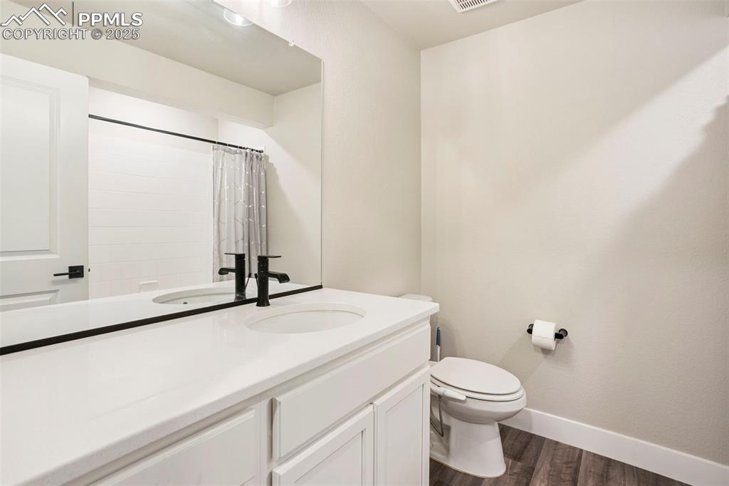 Bathroom with dark wood-type flooring, vanity, and a shower with shower curtain