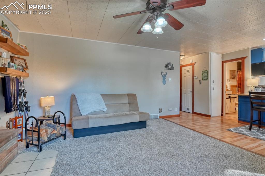 Living room with light colored carpet, ceiling fan, and light wood-type flooring