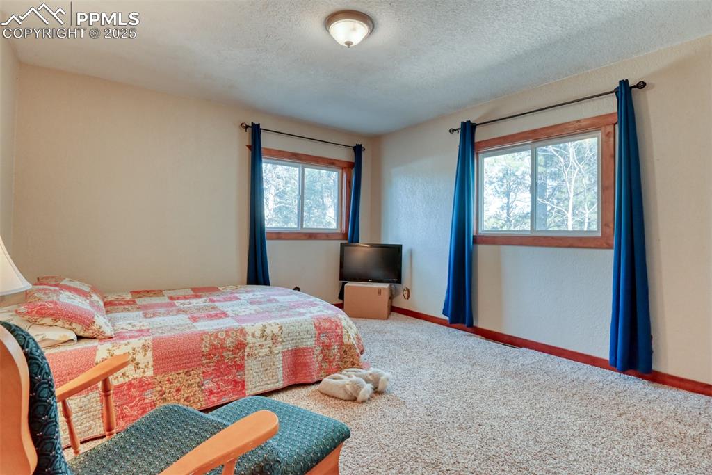 Carpeted bedroom featuring a textured ceiling and a textured wall