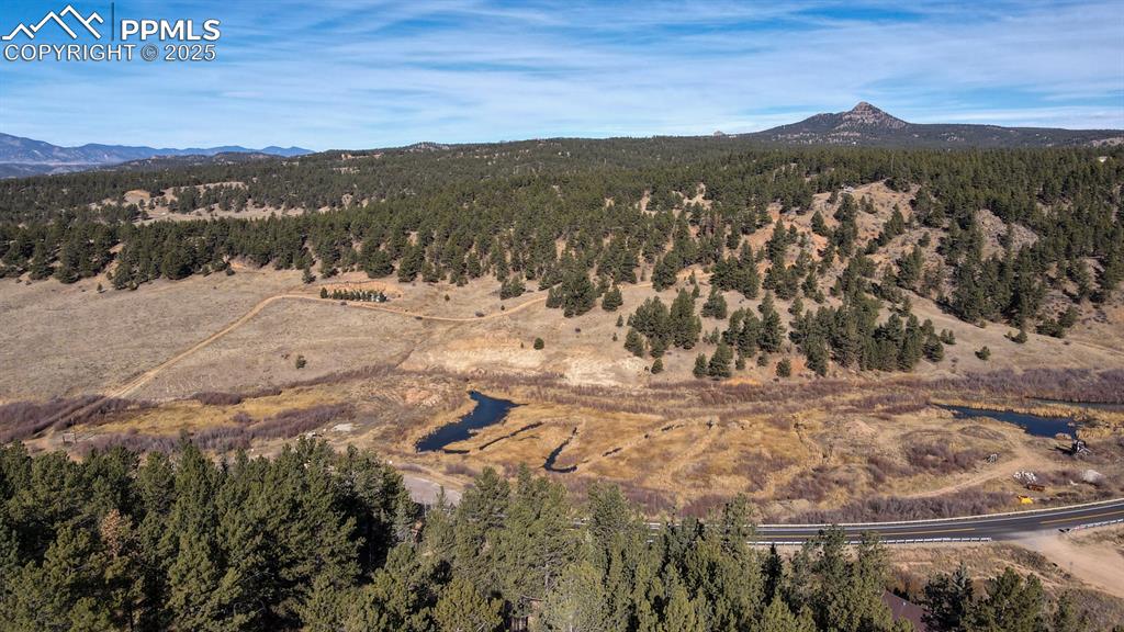 Mountain view featuring a heavily wooded area