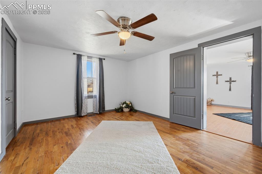 The primary bedroom is close to the living room and is aprx 15' X 15'. Recently painted, trimmed, new light, fan and curtains. 