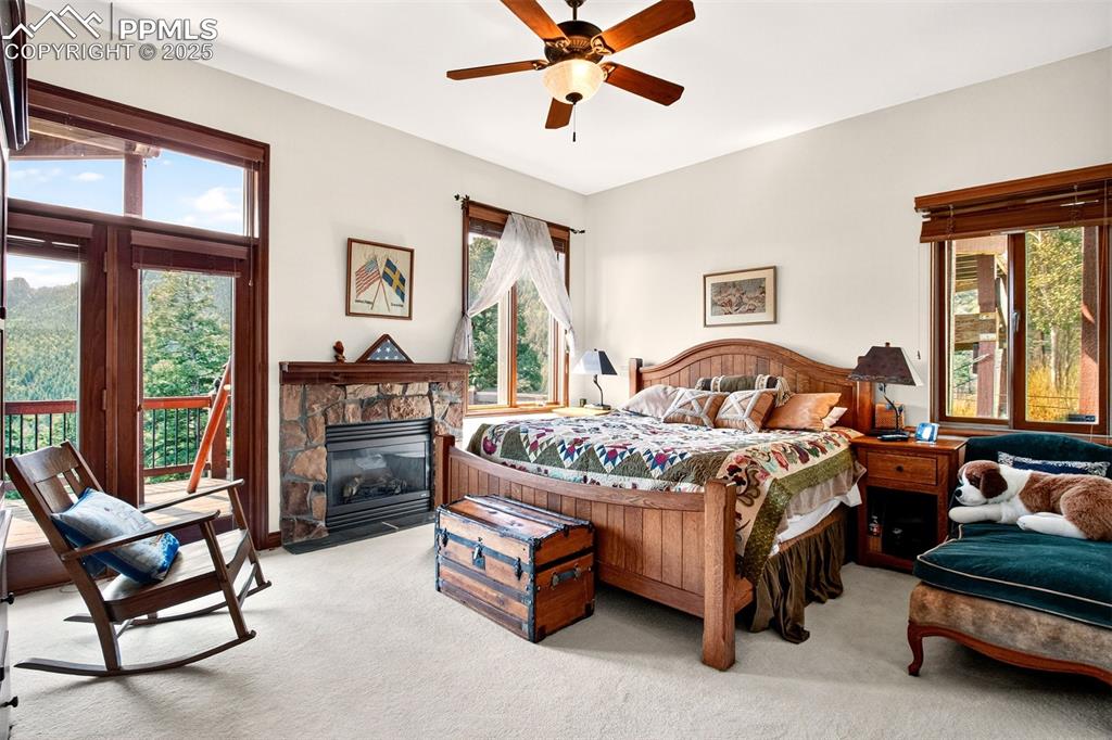 Bedroom 2 on lower level with gas burning fireplace, walk out to back deck and walk in closet