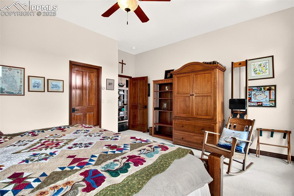 Bedroom 2 on lower level with gas burning fireplace, walk out to back deck and walk in closet