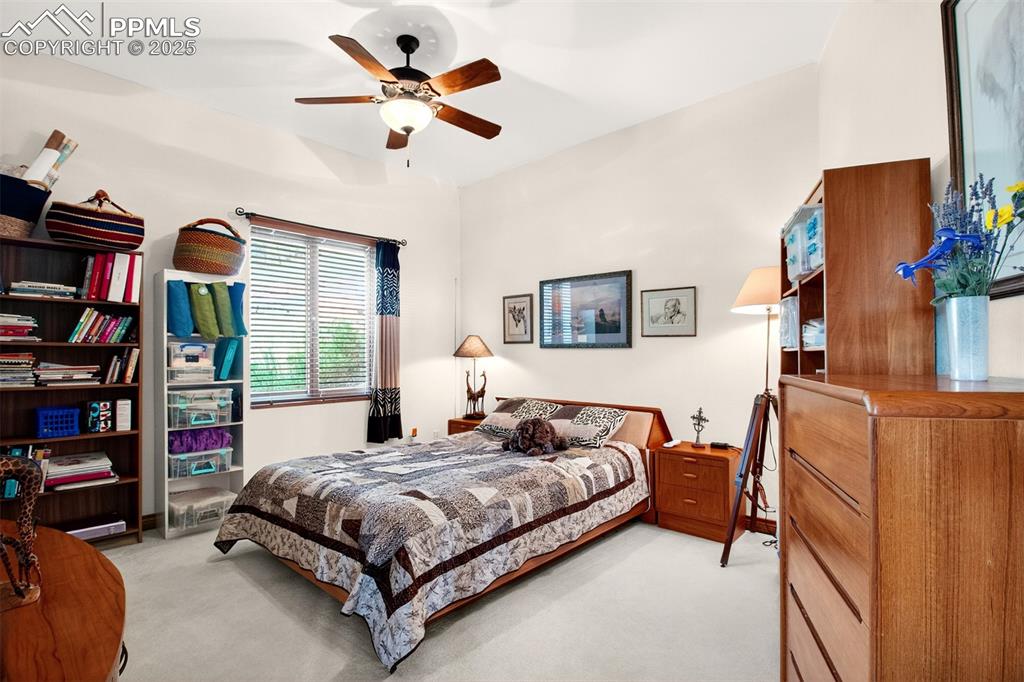 Bedroom 3 on the lower level with walk in closet.