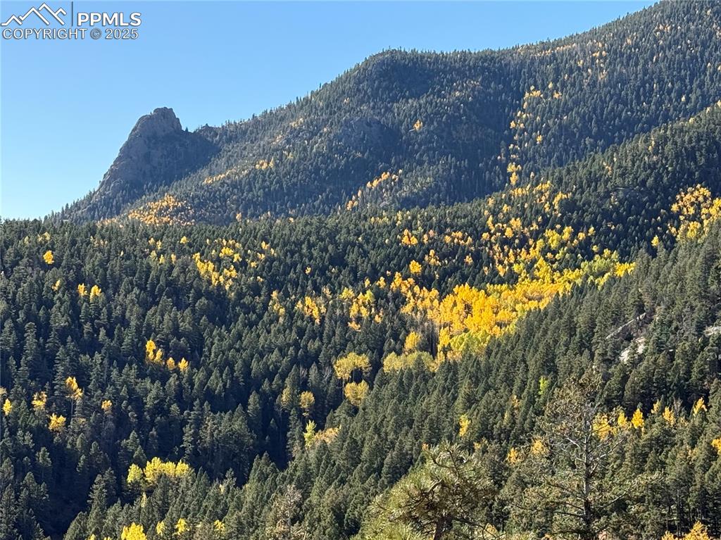 Just sit back and watch the amazing colors of Fall develop from the deck!