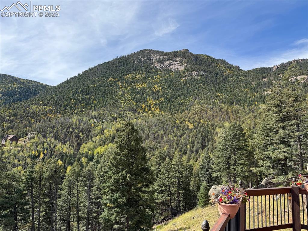 View from the main deck!!! Fall colors are starting to really show!