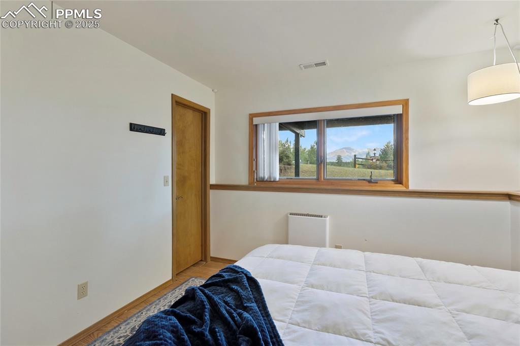 Basement bedroom with Pikes Peak view and walk-in closet