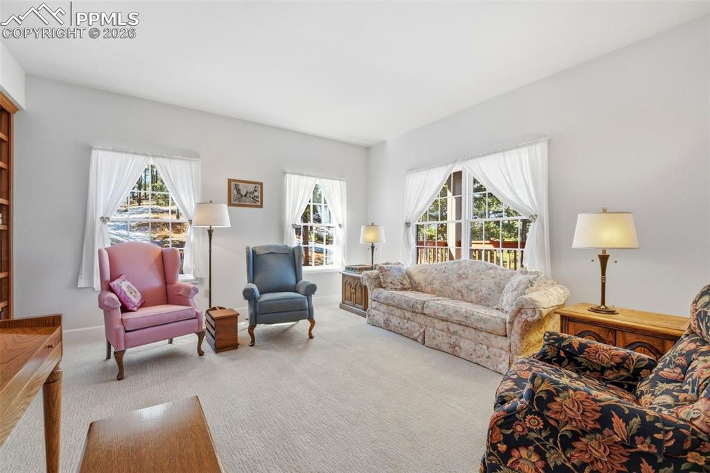 Light-filled Living Room