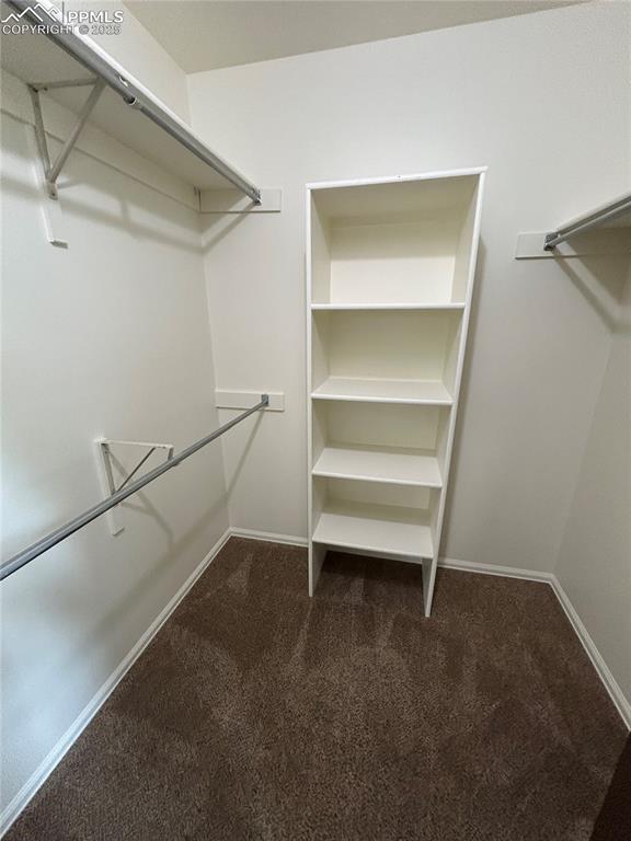 Master walk in closet
