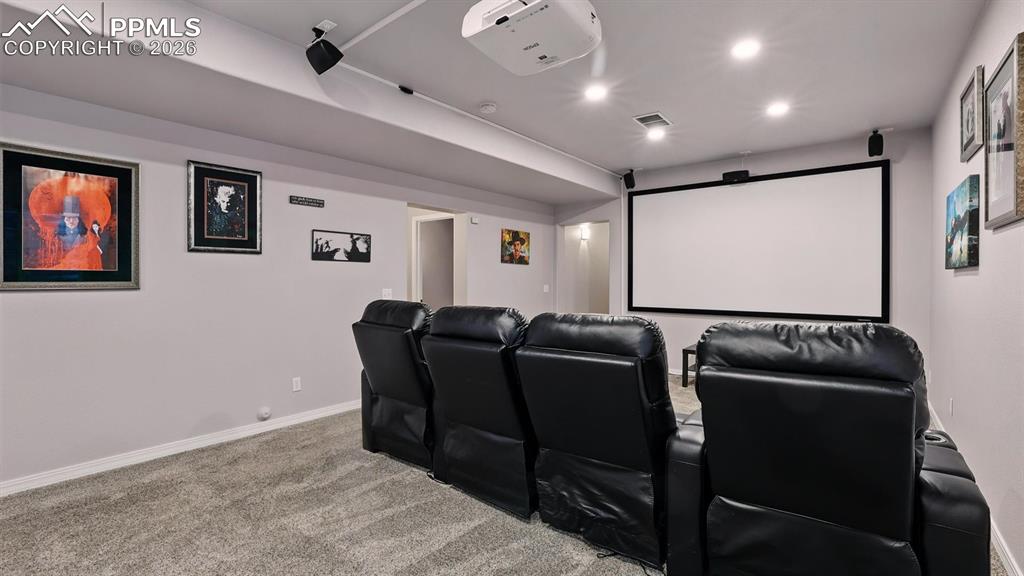 Basement Theatre Room
