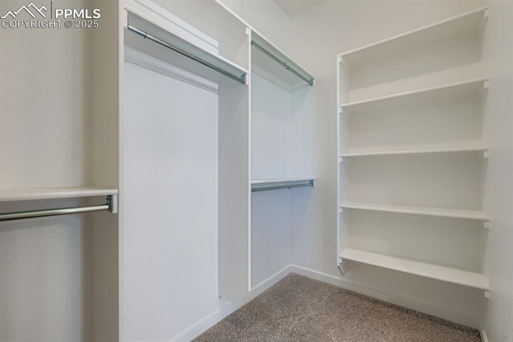 Spacious closet featuring light carpet