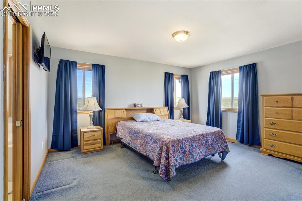 Carpeted bedroom with multiple windows