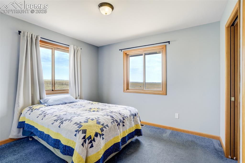 Bedroom featuring multiple windows and carpet
