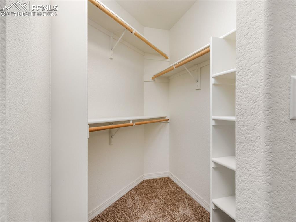 Spacious primary bathroom closet featuring carpet floors