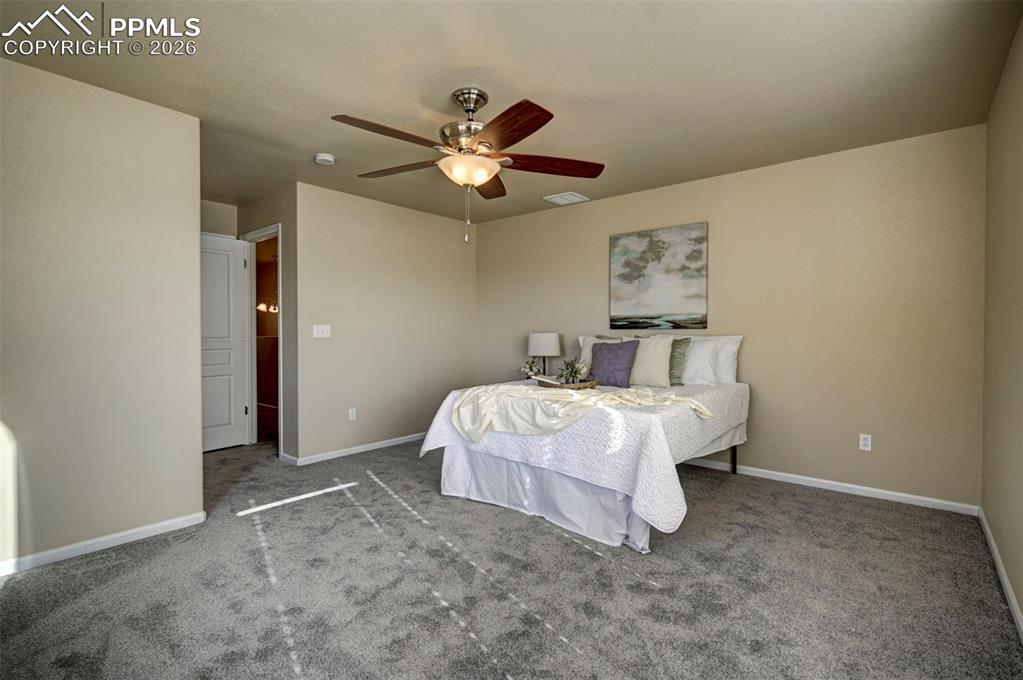 Bright and neutral flooring and walls. New carpet and light/fan. 