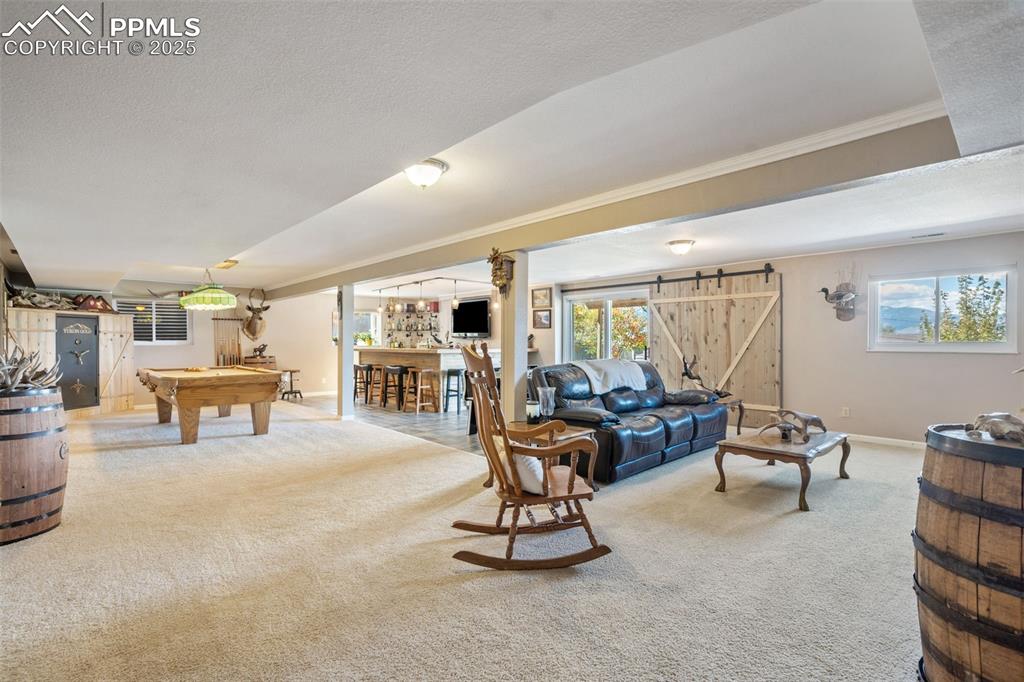 Lots of natural light in this large rec room with a walk-out to the fabulous back yard. Includes custom wet bar, and a built-in gun safe and pool table that stay!