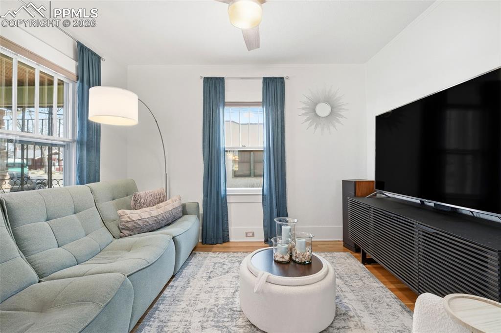 Light-Filled Living Room