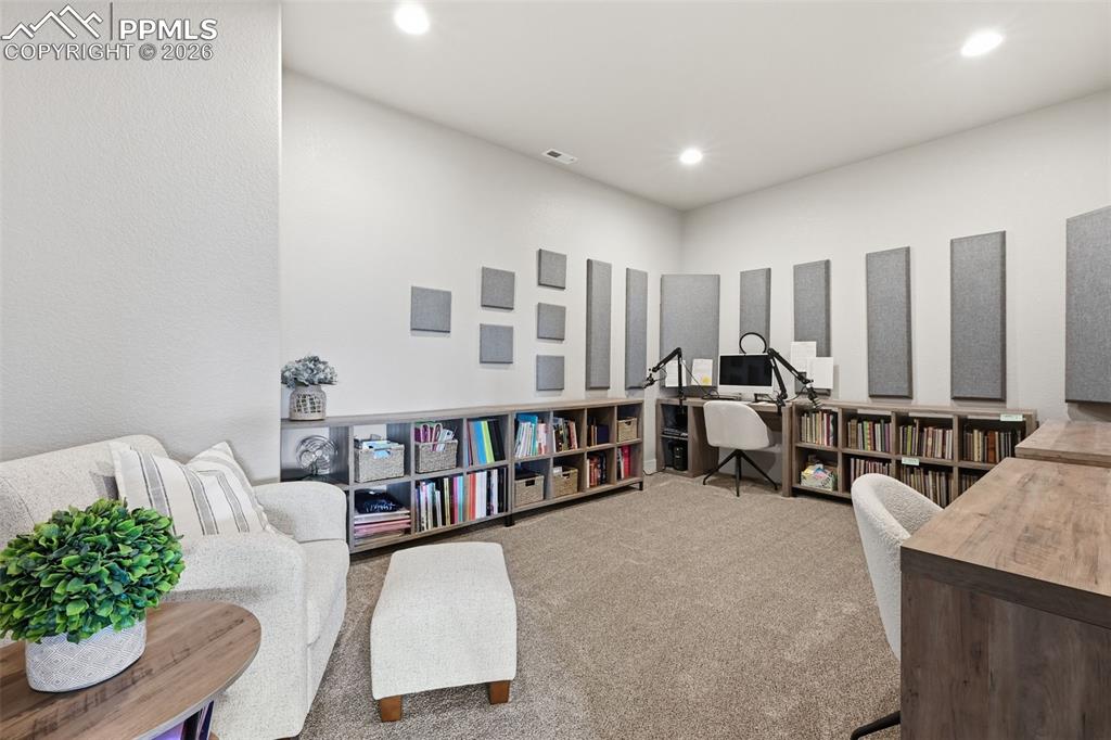 Large basement office/ pod cast.