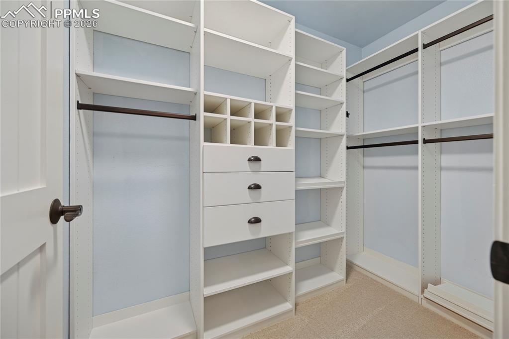 View of walk in closet