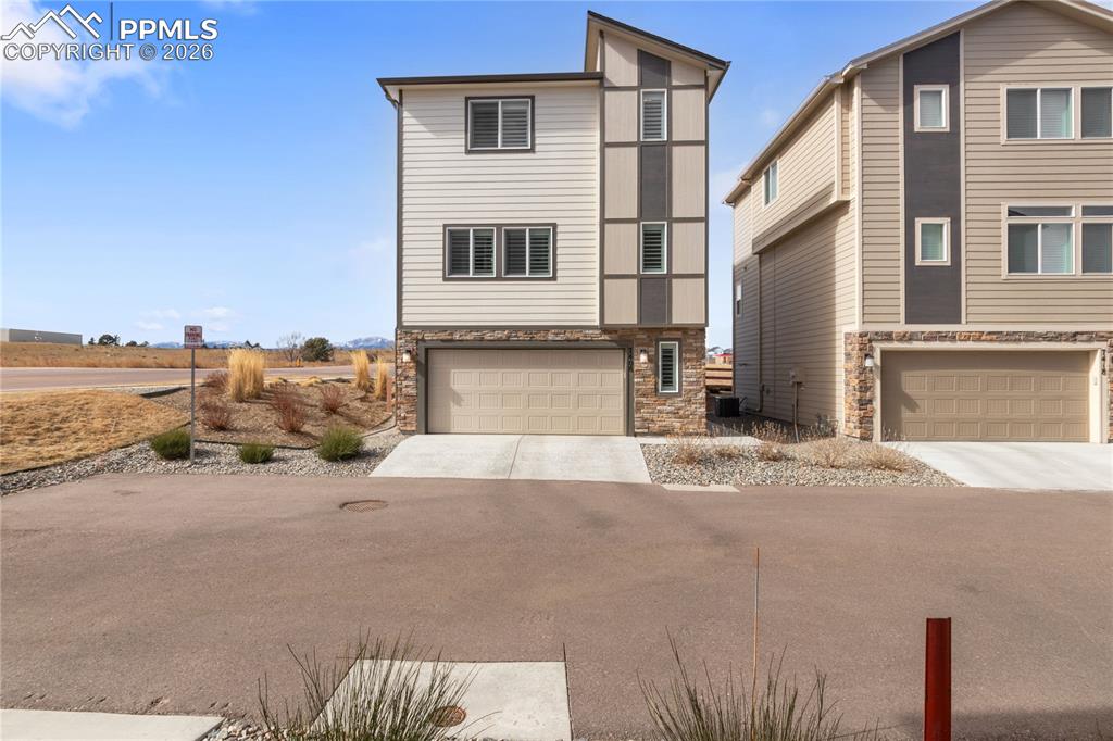 7408 Rufous Fronted View