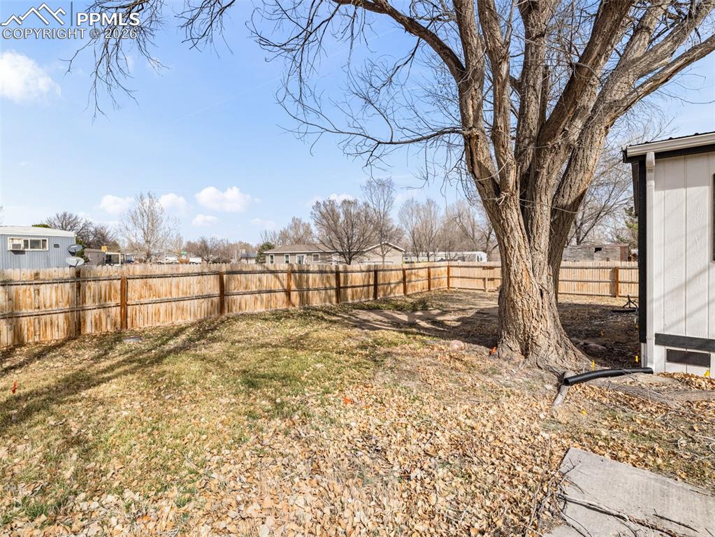 View of fenced backyard