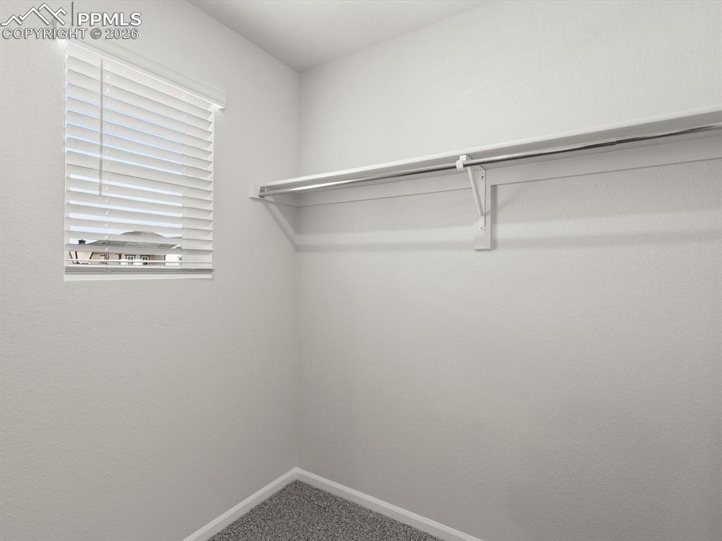 Walk in closet with carpet floors