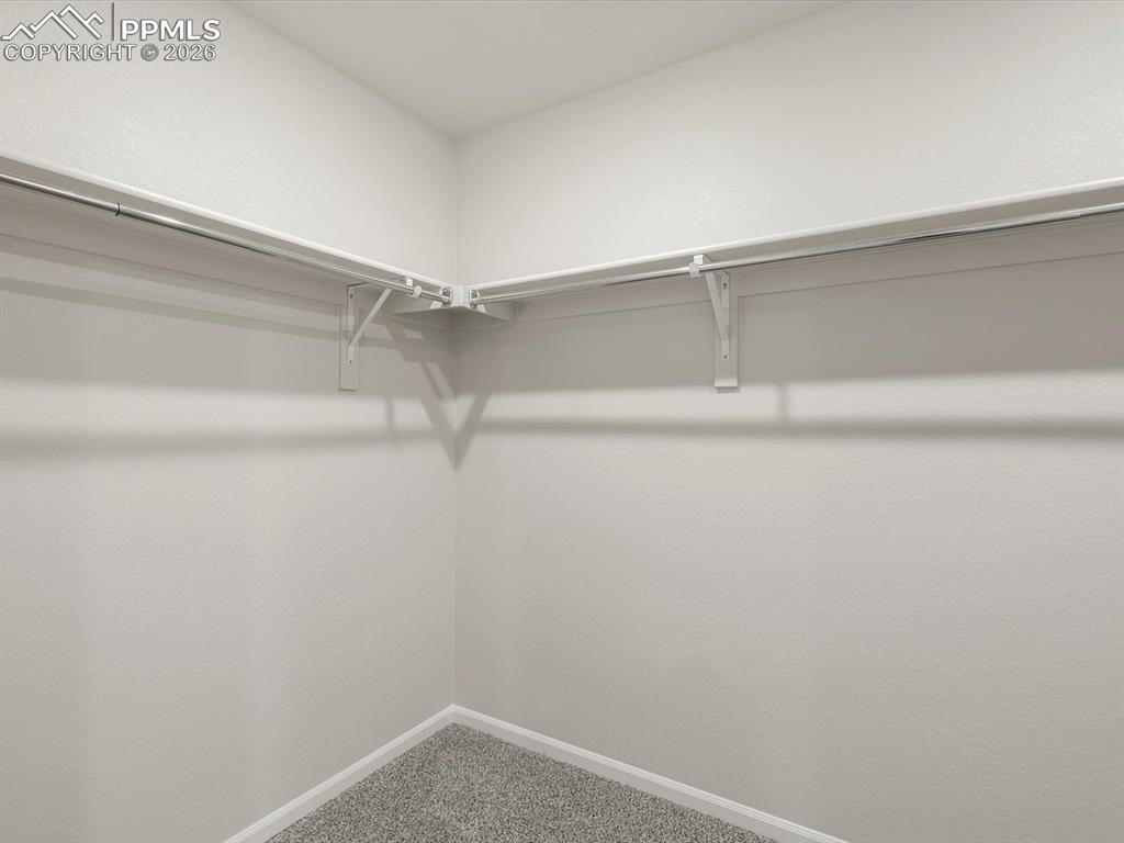 Walk in closet with carpet flooring
