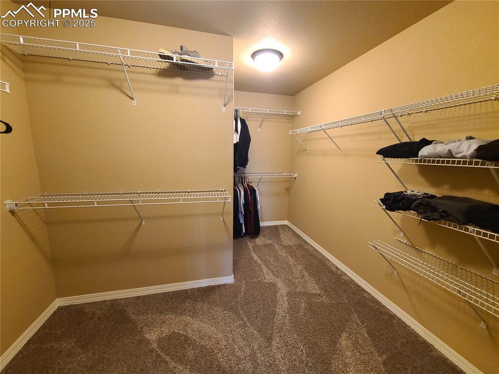 Walk in closet with dark carpet