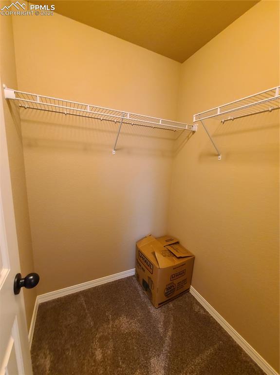 Walk in closet featuring dark colored carpet