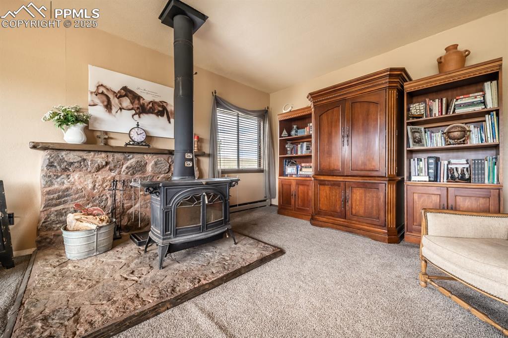Carpeted living room with a wood stove