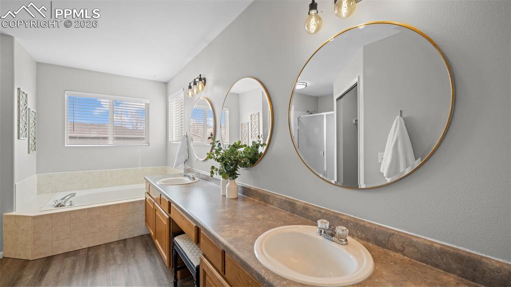 Full bathroom with dark wood-style floors, a bath, a stall shower, and double vanity