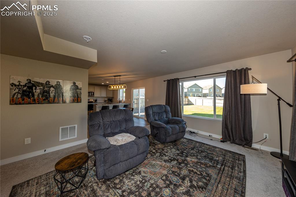 Living room featuring carpet floors and a textured ceiling