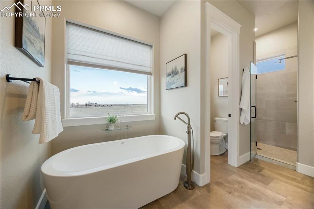 Bathroom with toilet, a stall shower, wood finished floors, and plenty of natural light