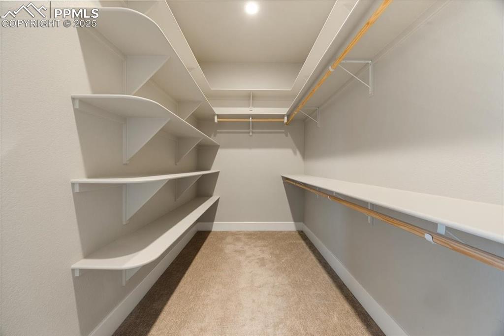 Walk in closet featuring light colored carpet