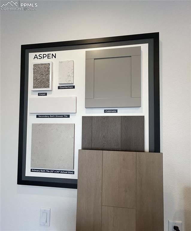 Actual interior color package